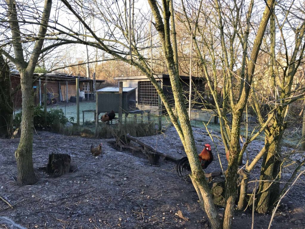 Søndag var udedag i haven!