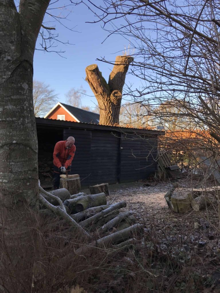 Søndag var udedag i haven!