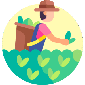 القطاع الزراعى