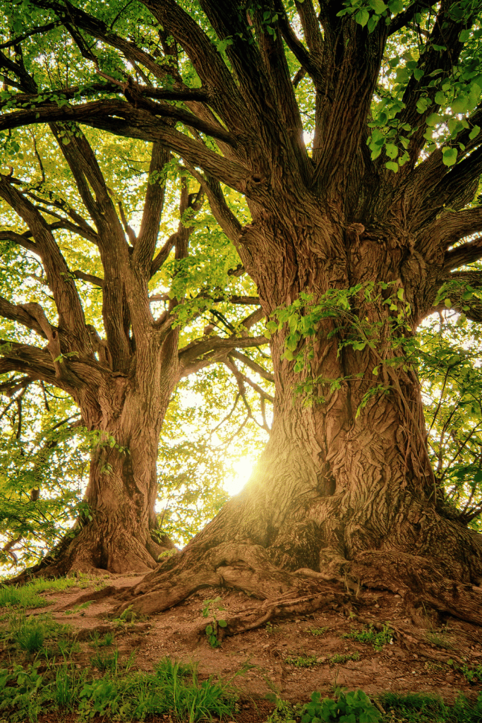 physical benefits of going outside