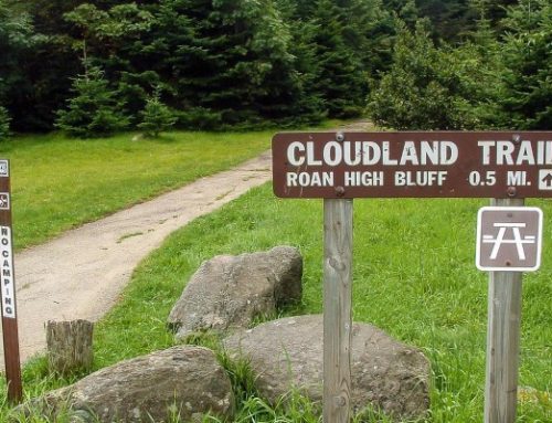 Roan High Knob / Tollhouse Gap, Shuttle Service