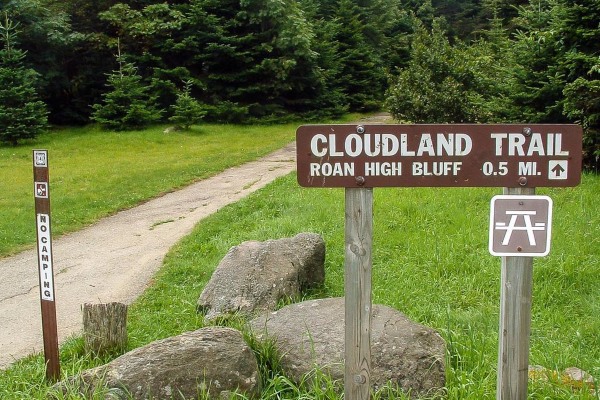 Roan High Knob / Tollhouse Gap