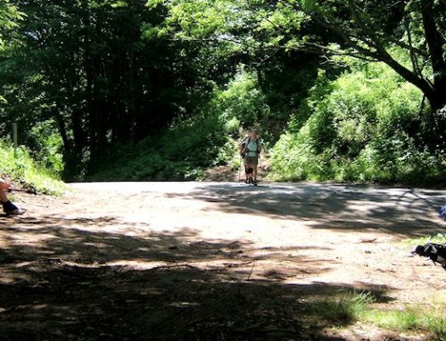 Hughes Gap, Shuttle Service