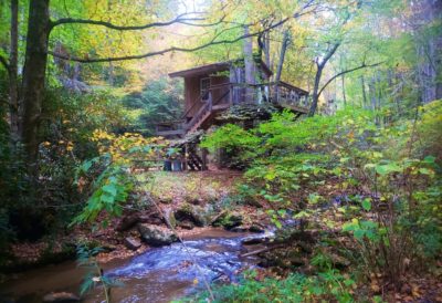 Secluded wooden treehouse in lush mountain forest scene.