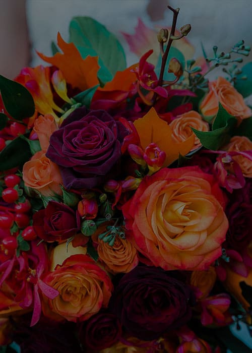 Vibrant floral bouquet with roses, orchids, and colorful greenery at Mountain Harbour.