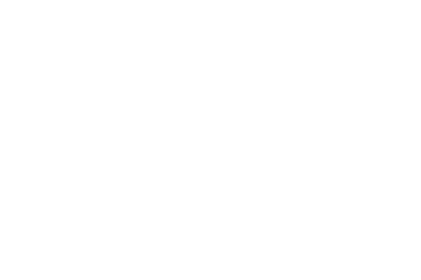 MONEY ICON