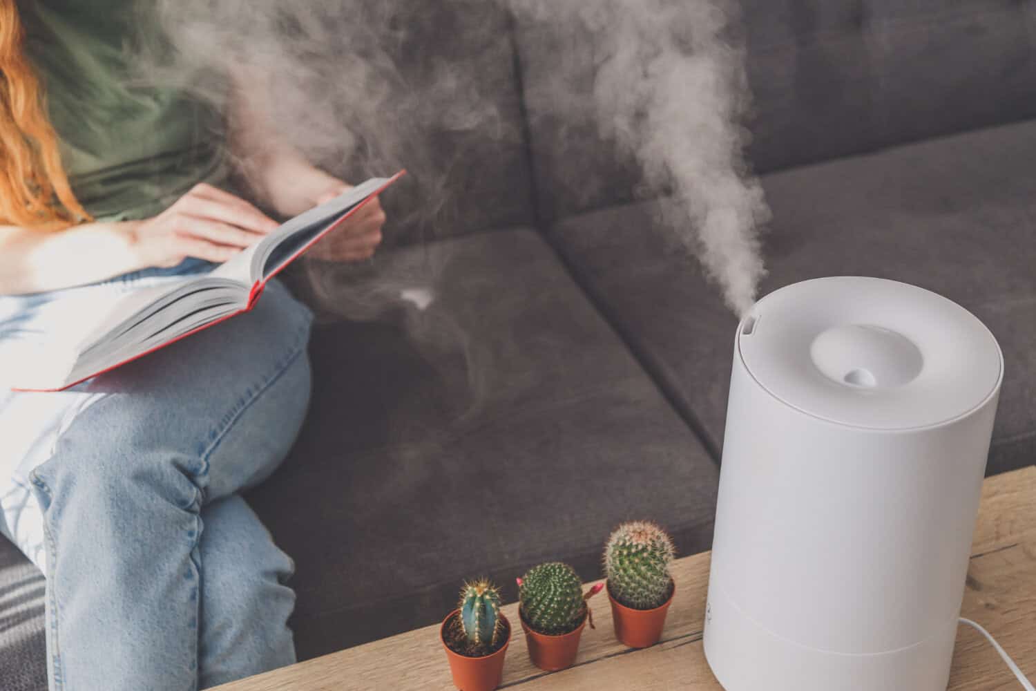 FURNACE HUMIDIFIER