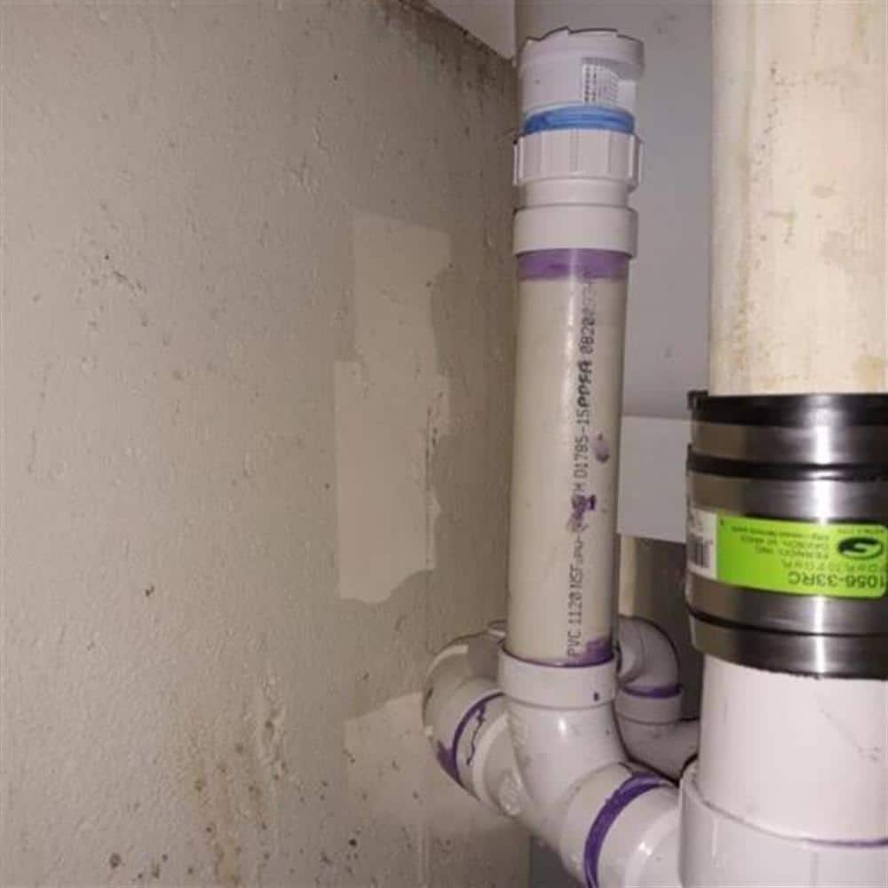 A new white PVC sewer stack with a shielded Fernco coupling and a capped cleanout test tee against a basement wall