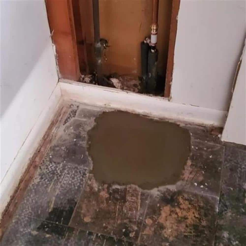 Standing water pooled across a basement floor at a doorway in a Macomb County home on a Bison Plumbing call