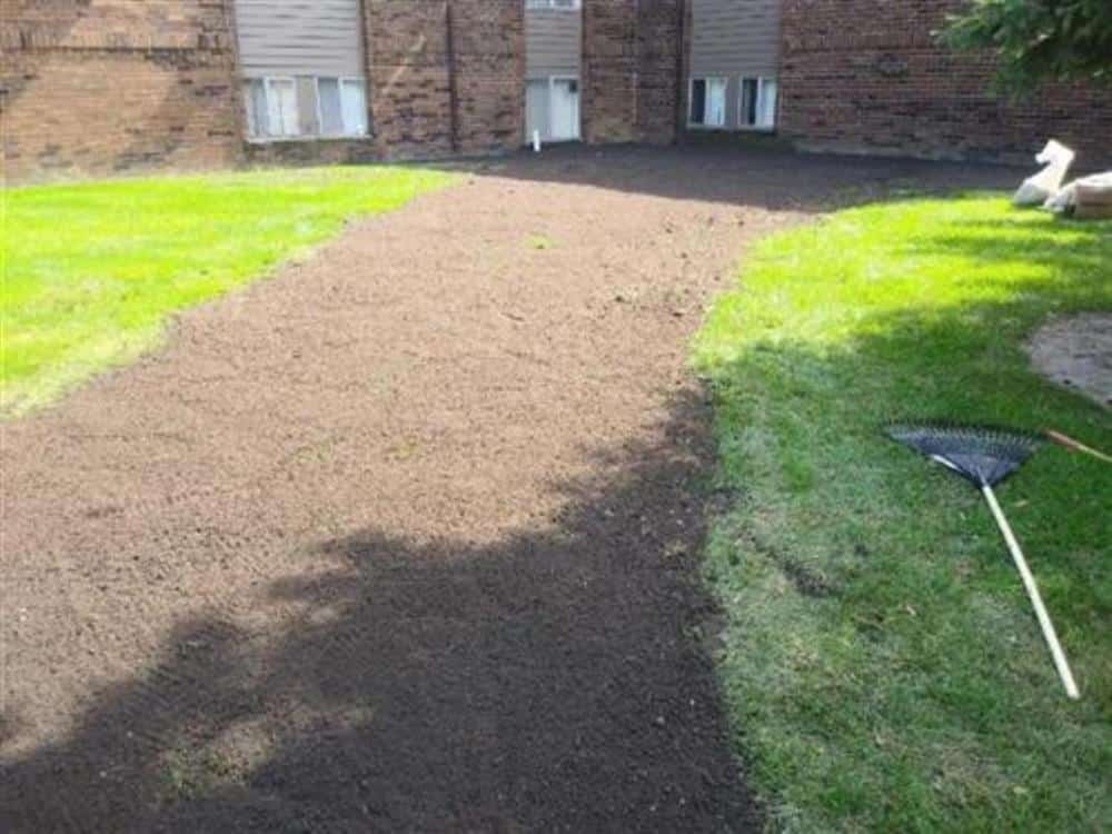 A backfilled and graded sewer trench through a green lawn, fresh topsoil raked smooth along the line with a rake and shovel lying beside it