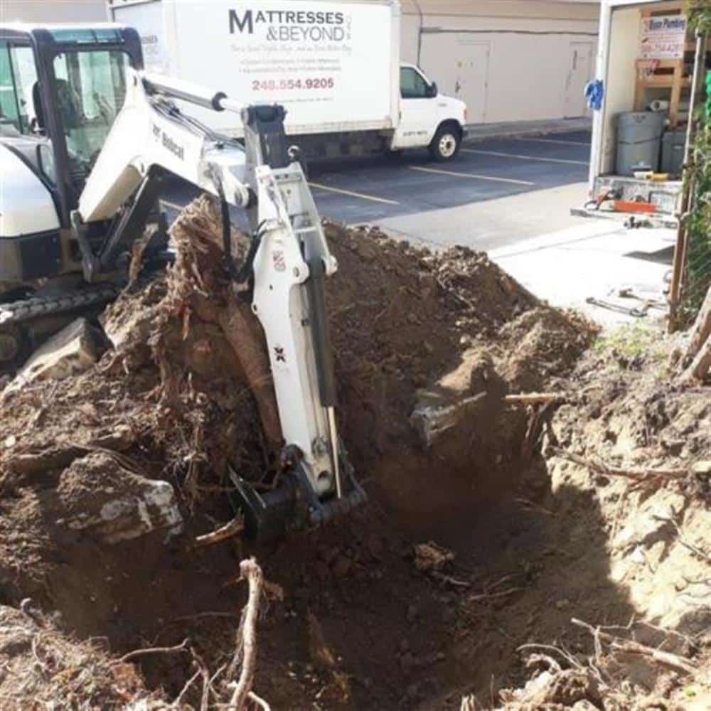 A compact Bobcat excavator digging a sewer replacement trench beside a house, its bucket lifting soil and roots, a Bison Plumbing truck parked in the drive