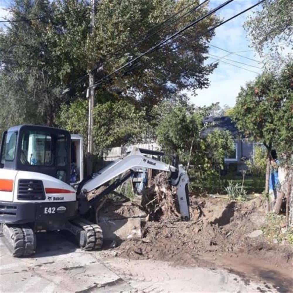 A Bobcat compact excavator digging a sewer trench through a residential back yard beneath mature trees, soil and roots piled beside the cut