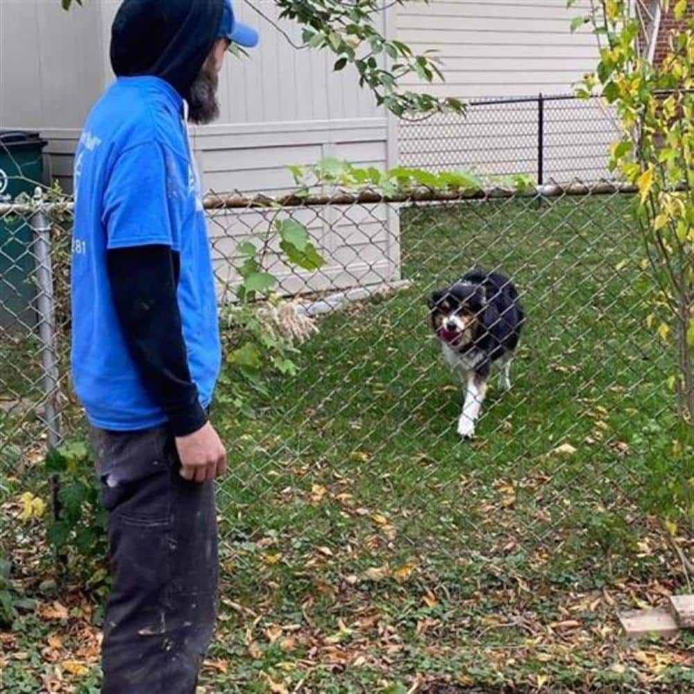A Bison Plumbing technician in a blue shirt standing at a chain-link fence while a homeowner's border collie watches from an untouched green lawn on the other side