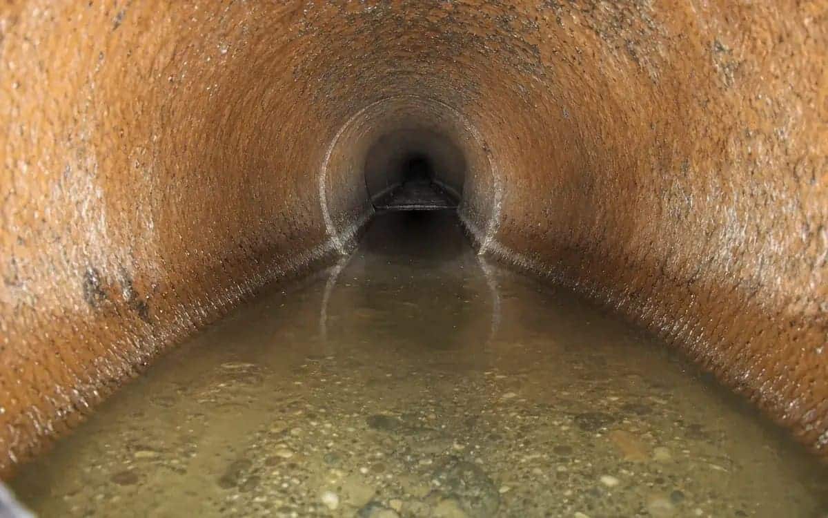Water backing up out of a floor drain in a home — a clear sign of a main sewer line blockage