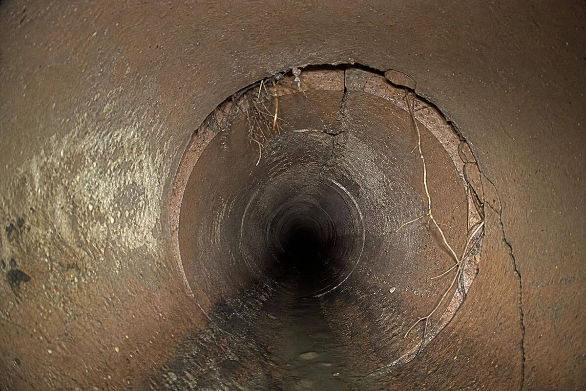 A view inside an old, cracked, and rusty metal pipe with roots protruding through the cracks and a small stream of water running along the bottom. The tunnel fades into darkness in the distance.
