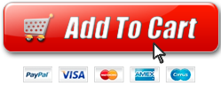 add Credit Repair Doctor to cart