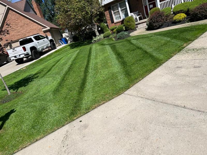 Lawn Maintenance in North Tonawanda, NY