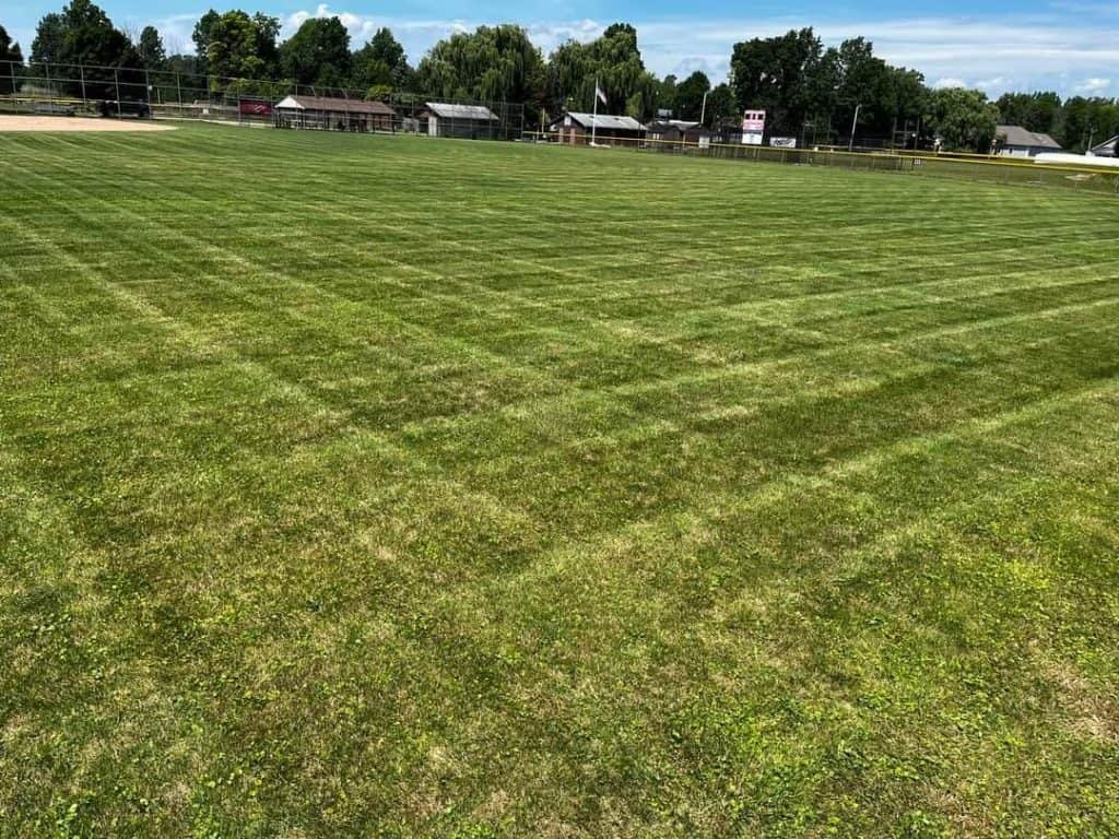 Lawn Maintenance North Tonawanda NY