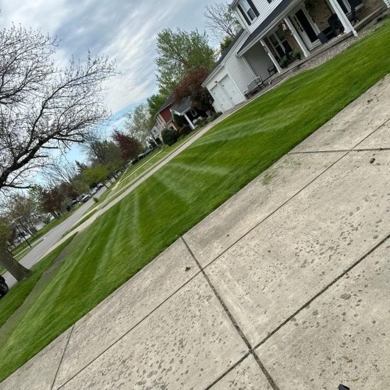 Lawn Care Maintenance near me