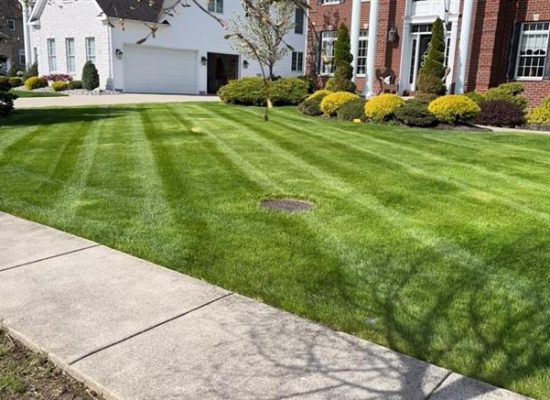 Lawn Maintenance in Williamsville, NY