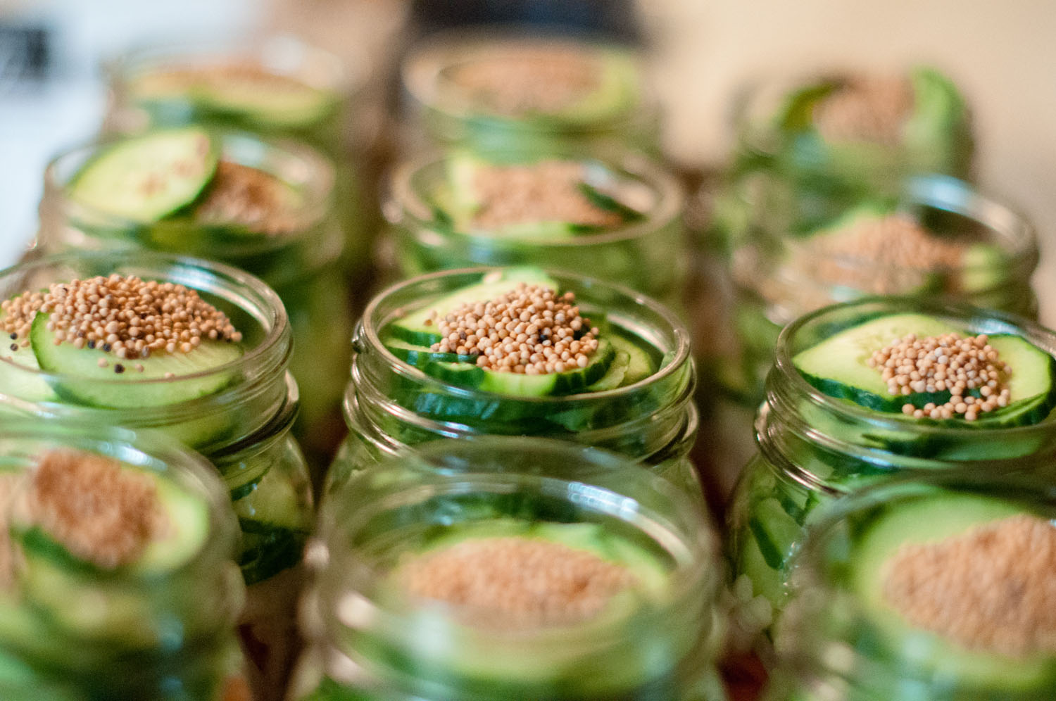 Mennonite Refrigerator Pickles [Recipe]