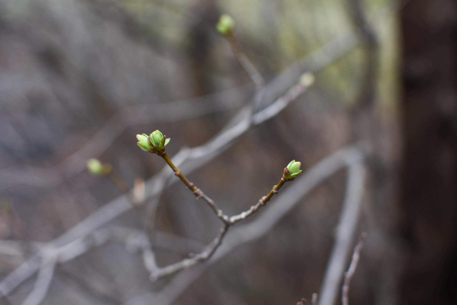 “How to Start a Blog” – New Page!