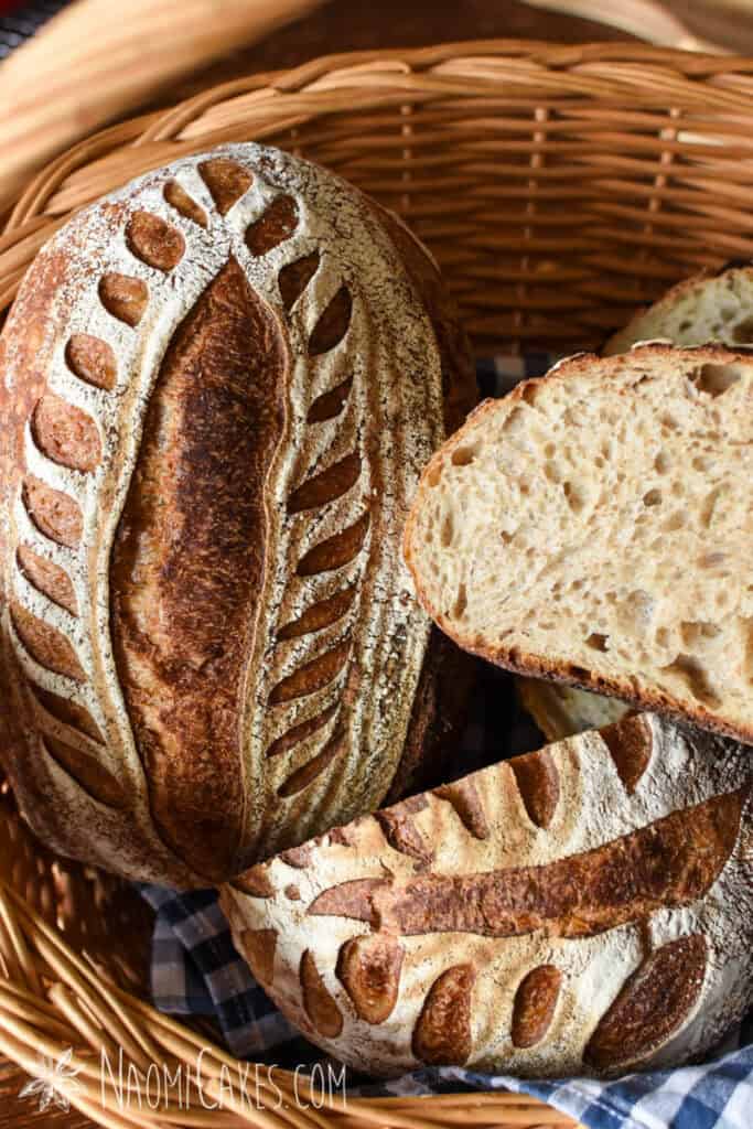 Easy Honey Whole Wheat Sourdough Bread [Recipe]