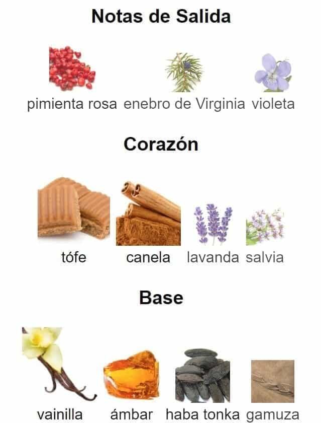 Stronger With You Intensely Giorgio Armani - Imagen 3