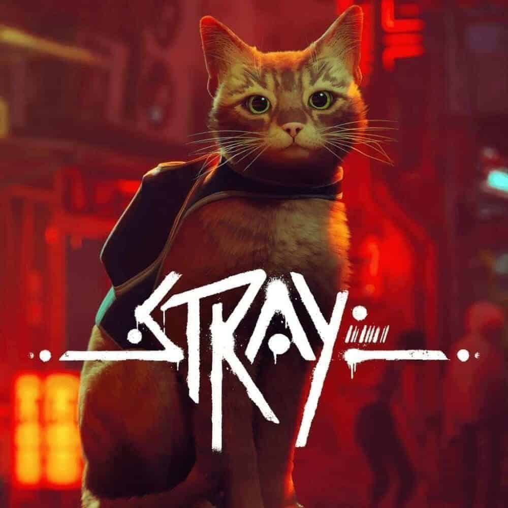 Stray PC/Steam