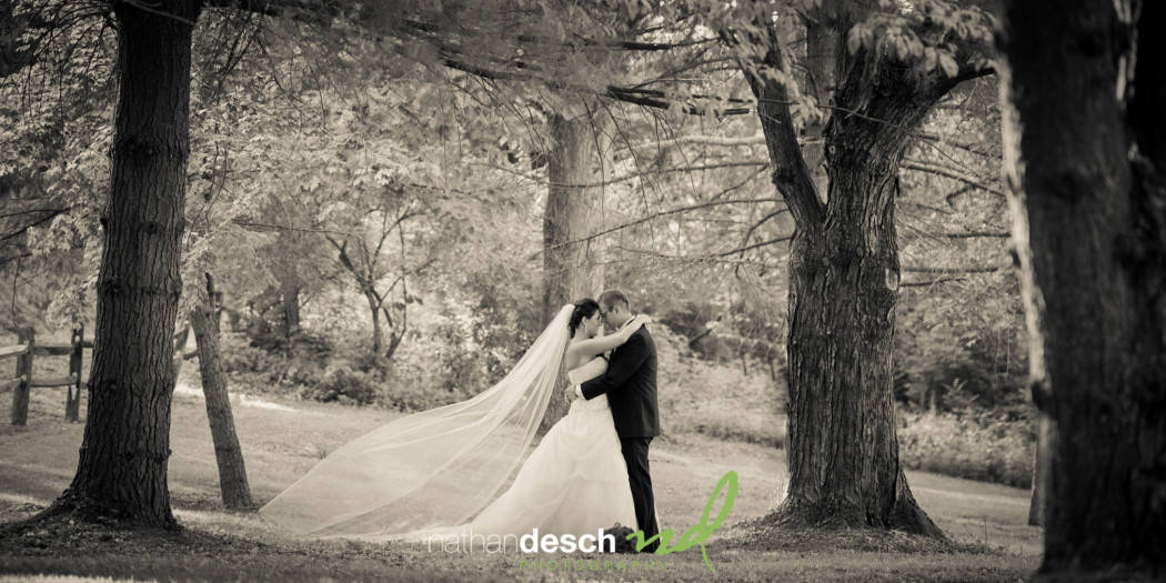 Modern wedding photography in Harrisburg