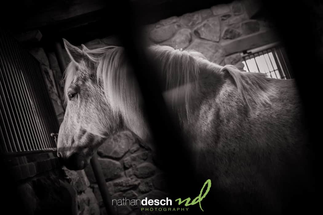 Spring wedding at Ironstone ranch by philadelphia wedding photographer nathan desch photography