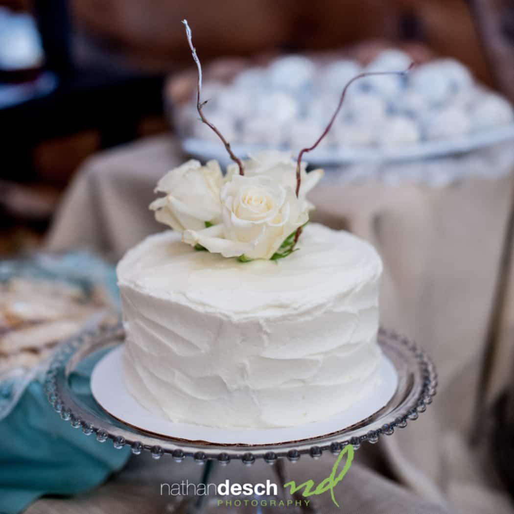 Spring wedding at Ironstone ranch by philadelphia wedding photographer nathan desch photography