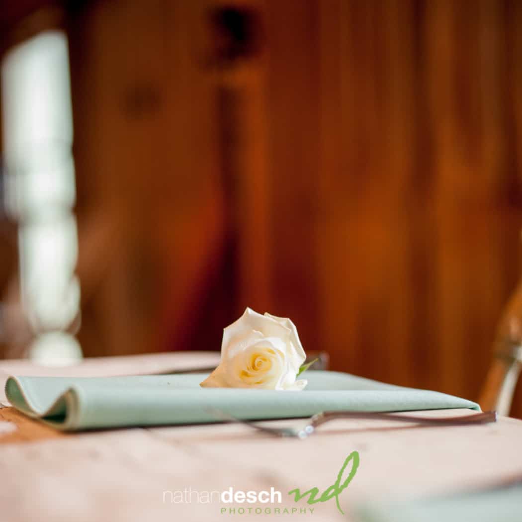 Spring wedding at Ironstone ranch by philadelphia wedding photographer nathan desch photography