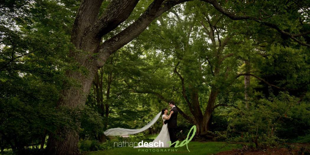 Morris Arboretum Wedding Pictures