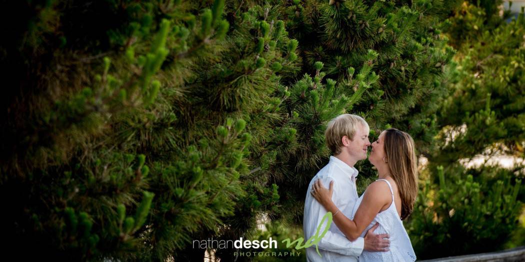 Avalon Wedding Photographer