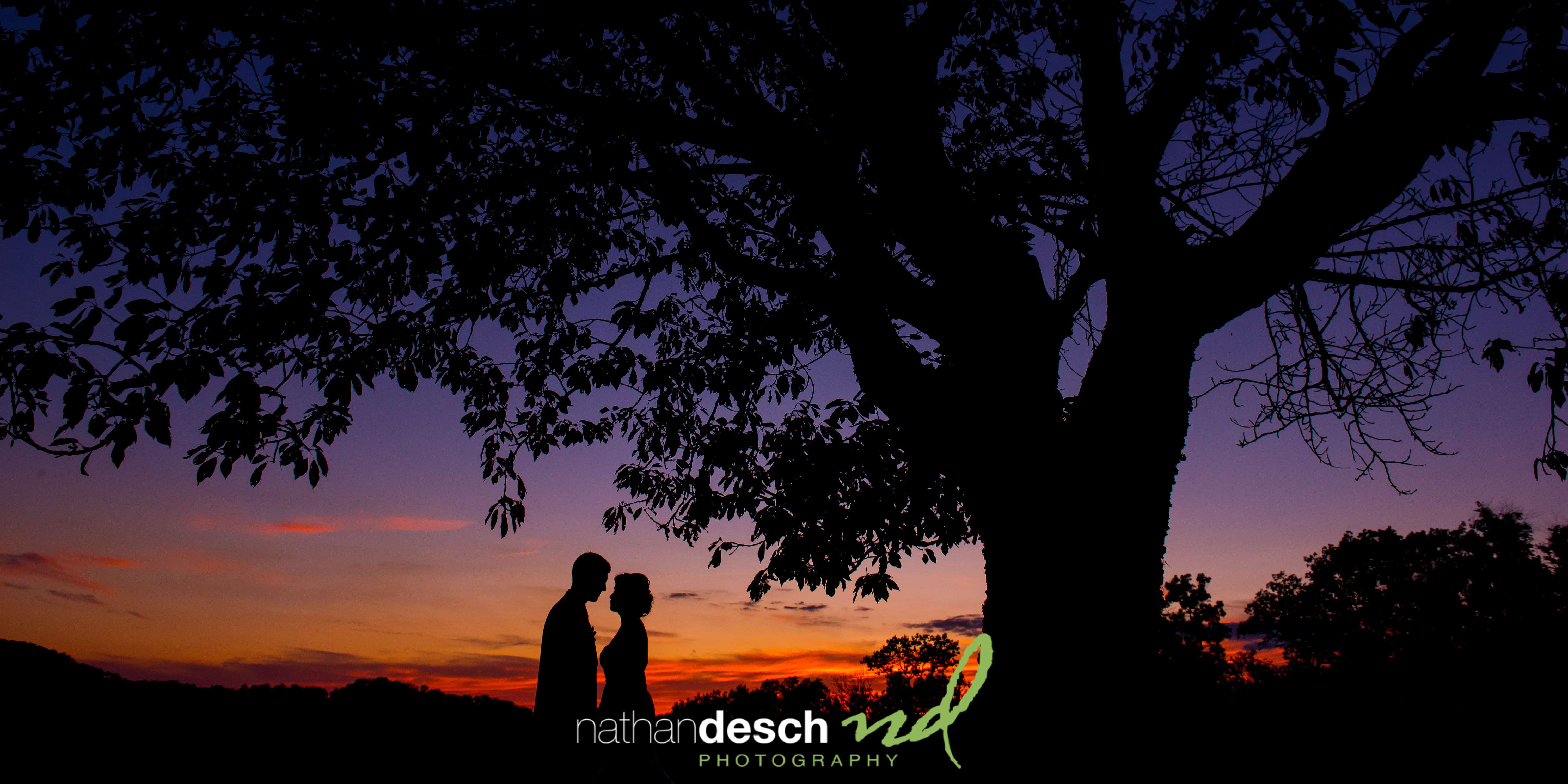 Wedding Silhouette Pictures