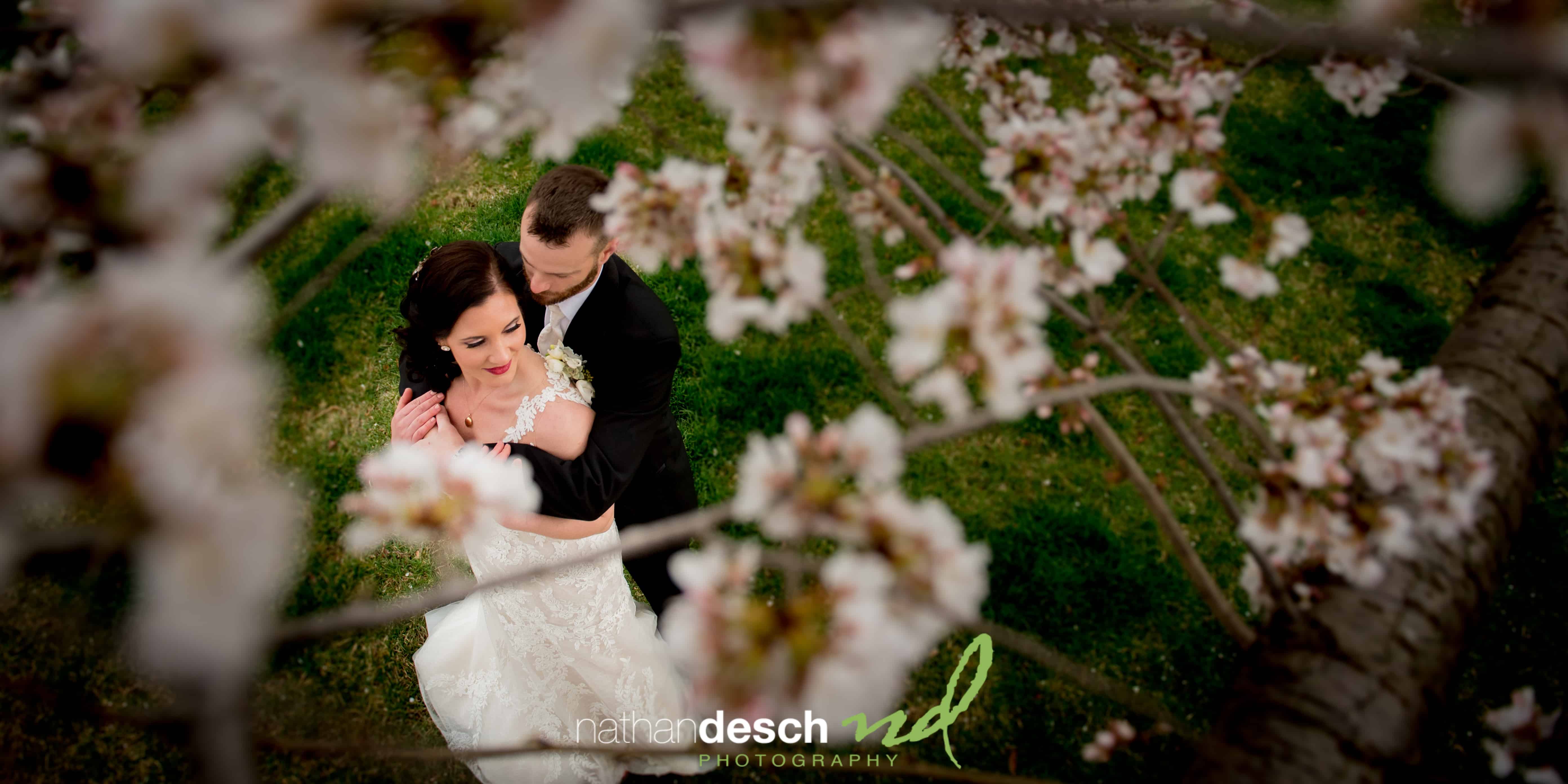 Wedding Photographers in Philadelphia