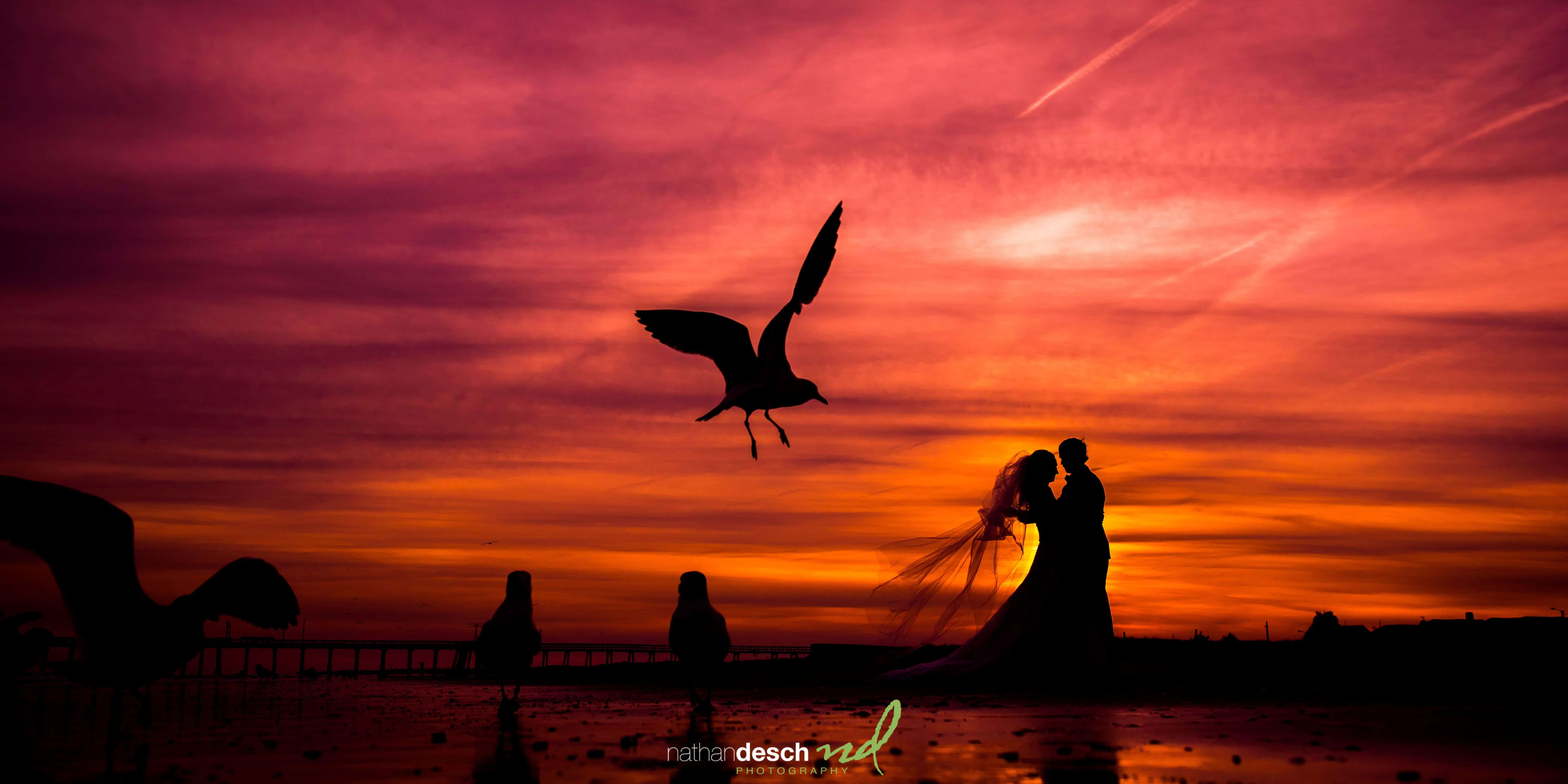 Best wedding Picture of 2018