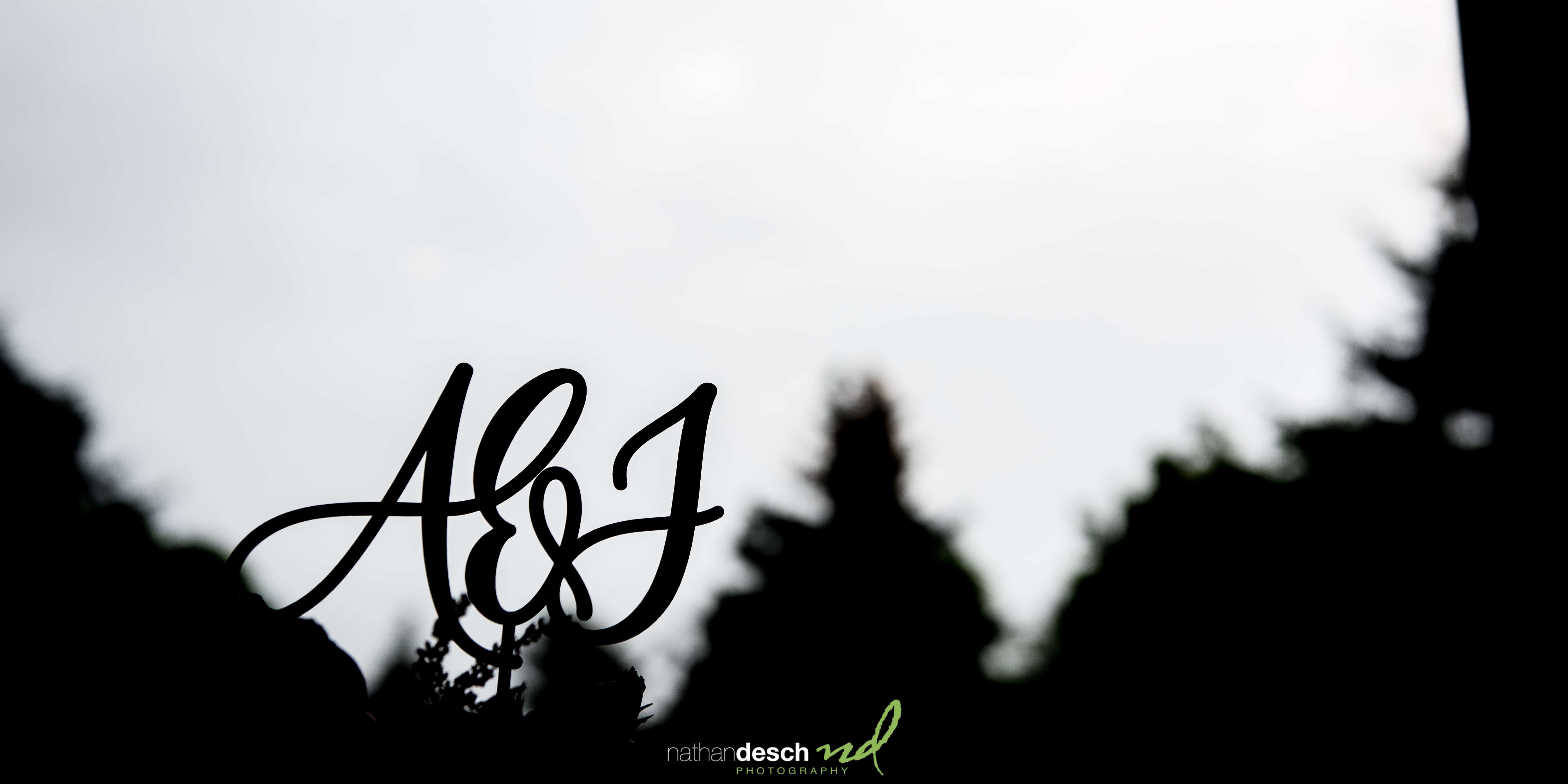 Radnor Wedding Photographer