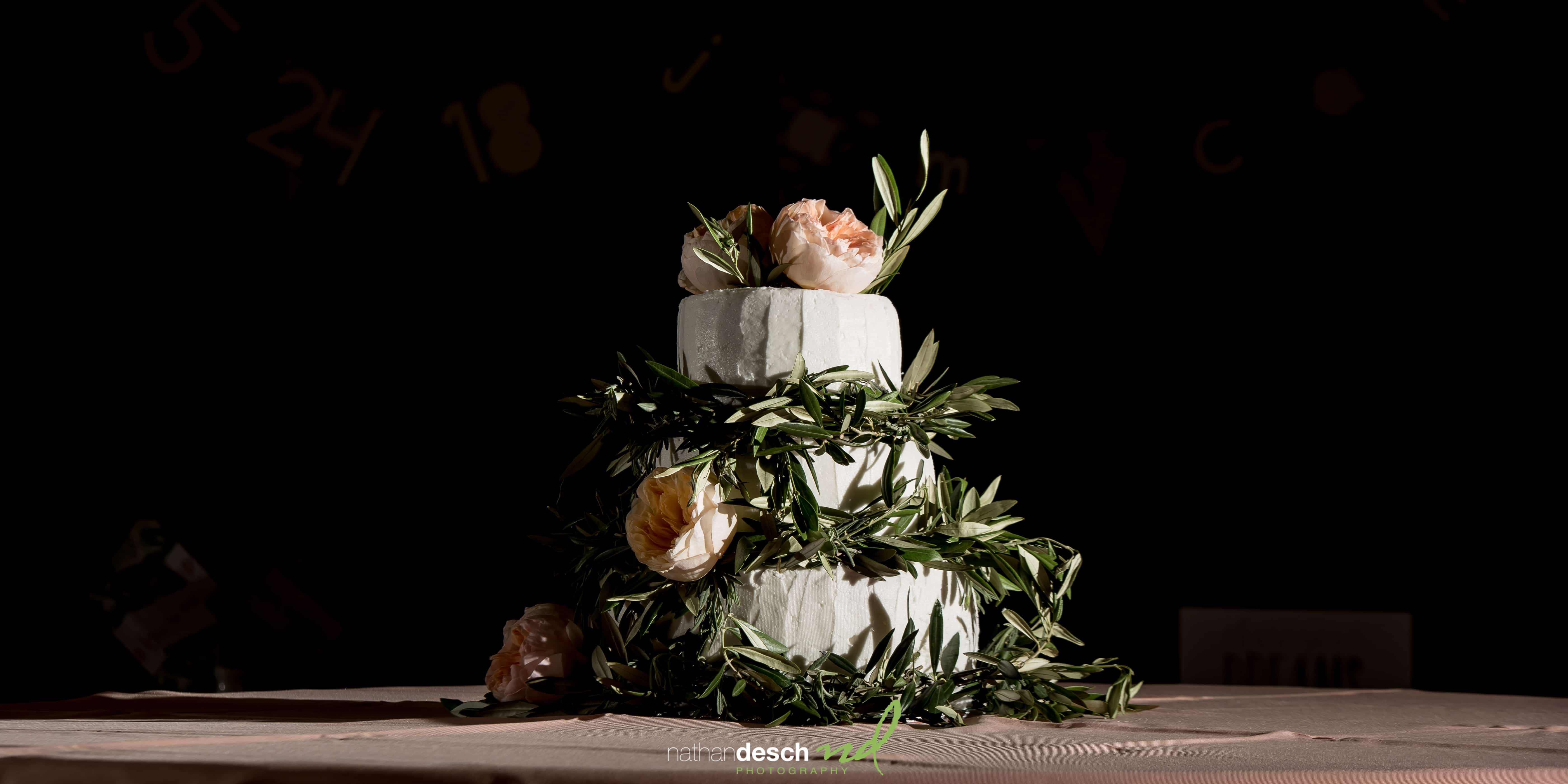 Watsontown Wedding Photographers
