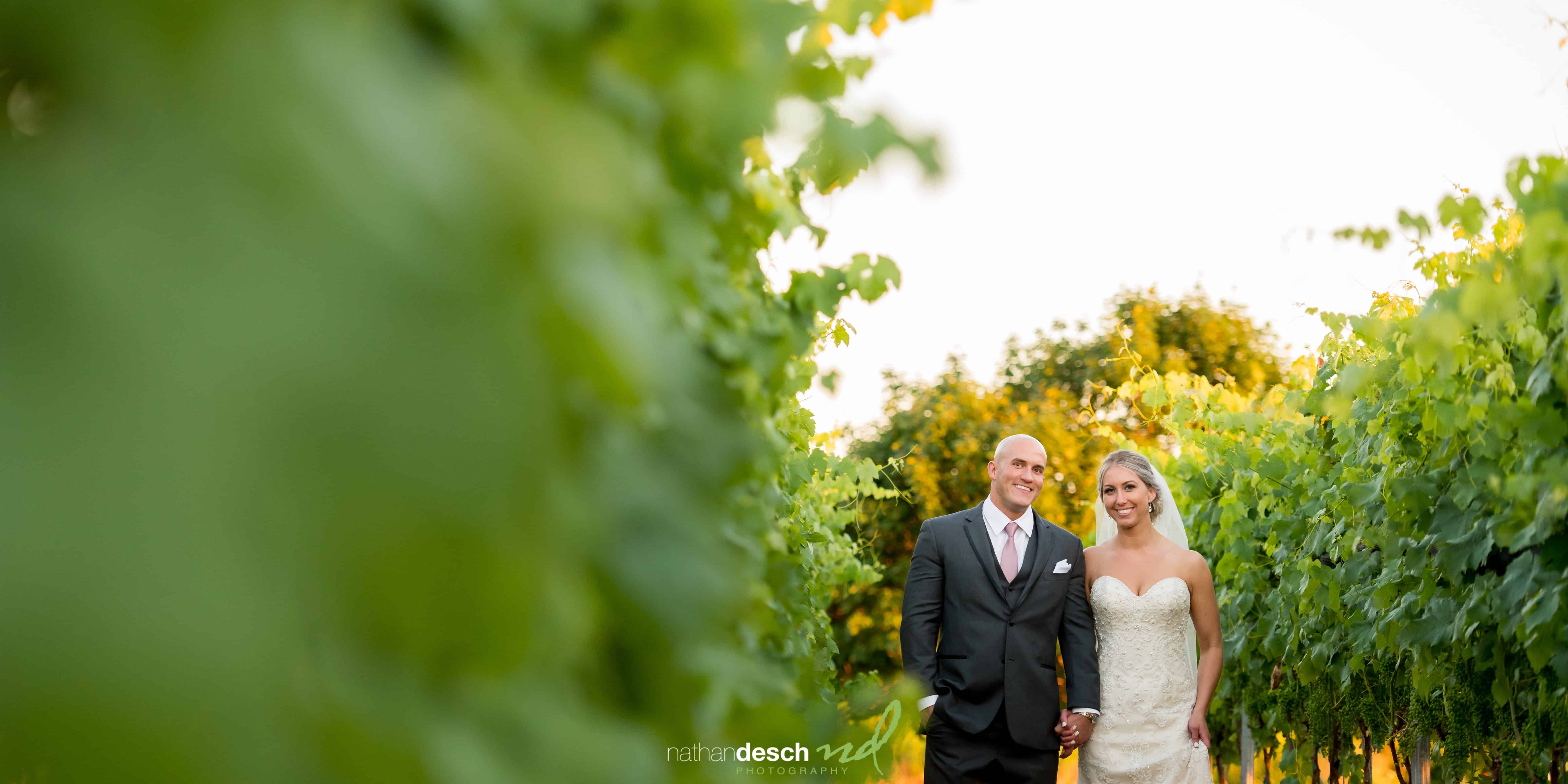 Wedding pictures from Folino Estate