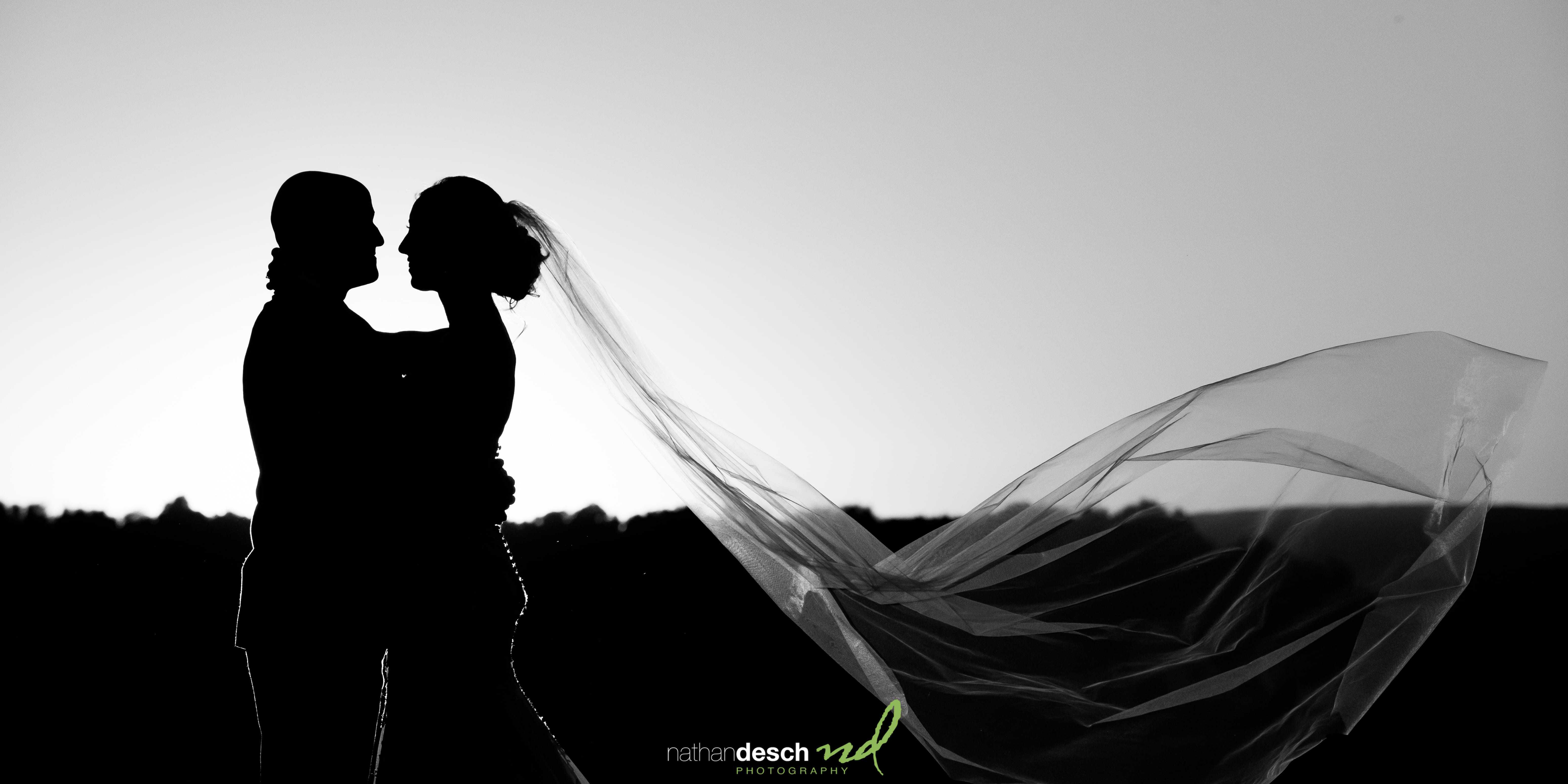Wedding pictures from Folino Estate