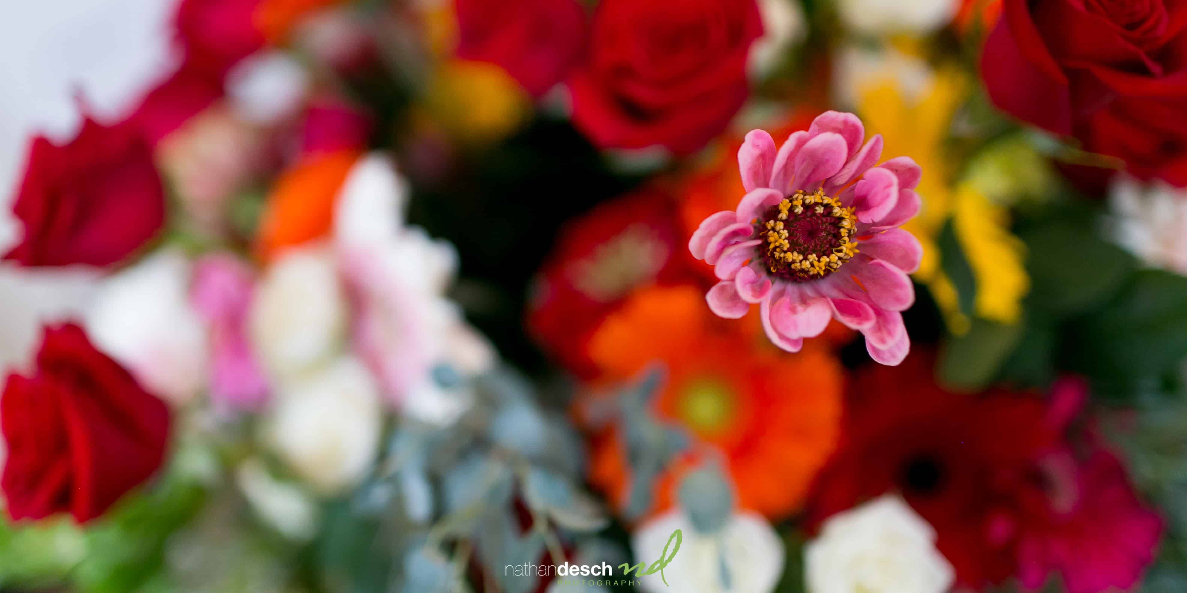 Bear Creek Weddings