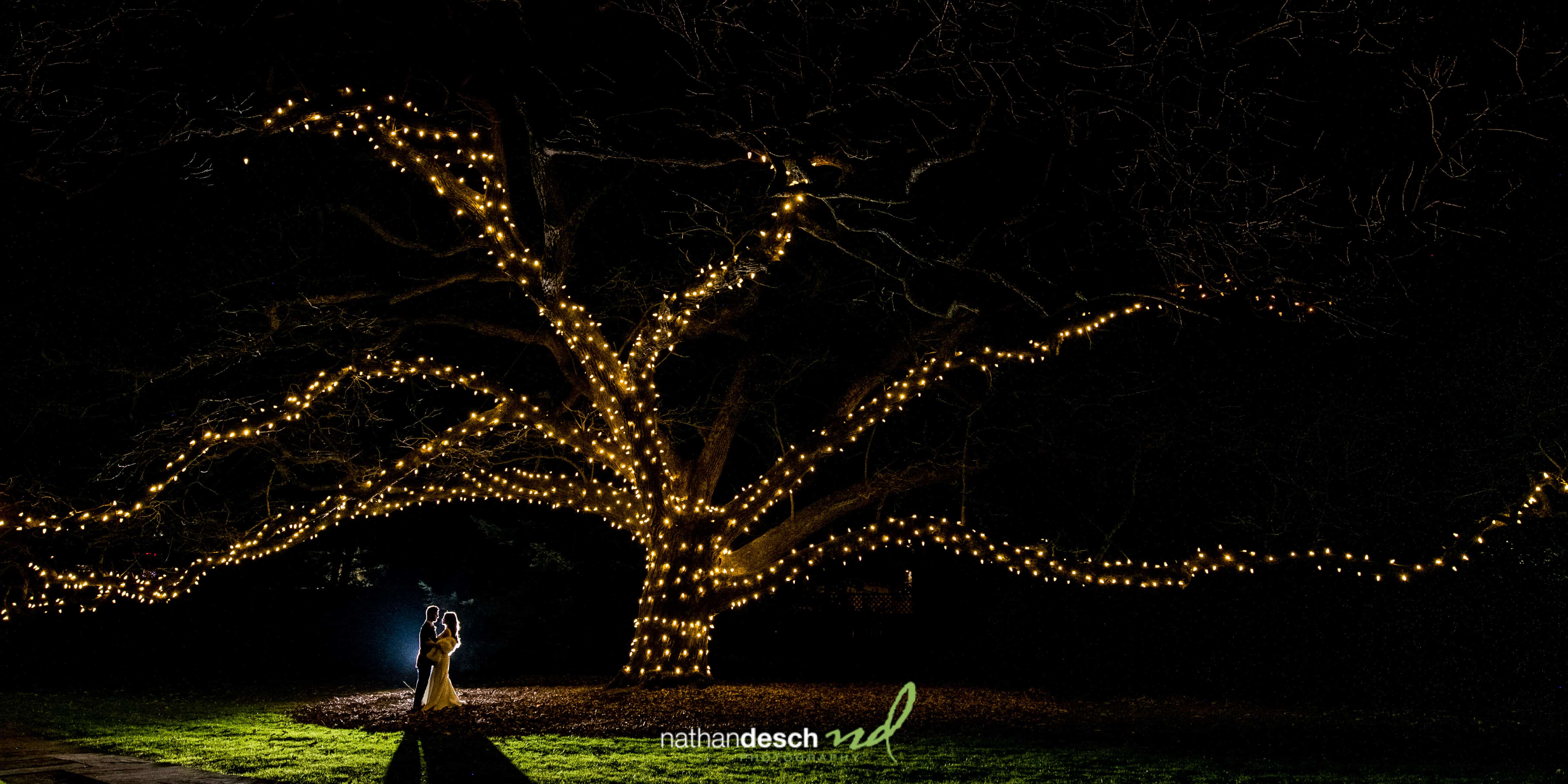 Best Wedding Pictures of 2021