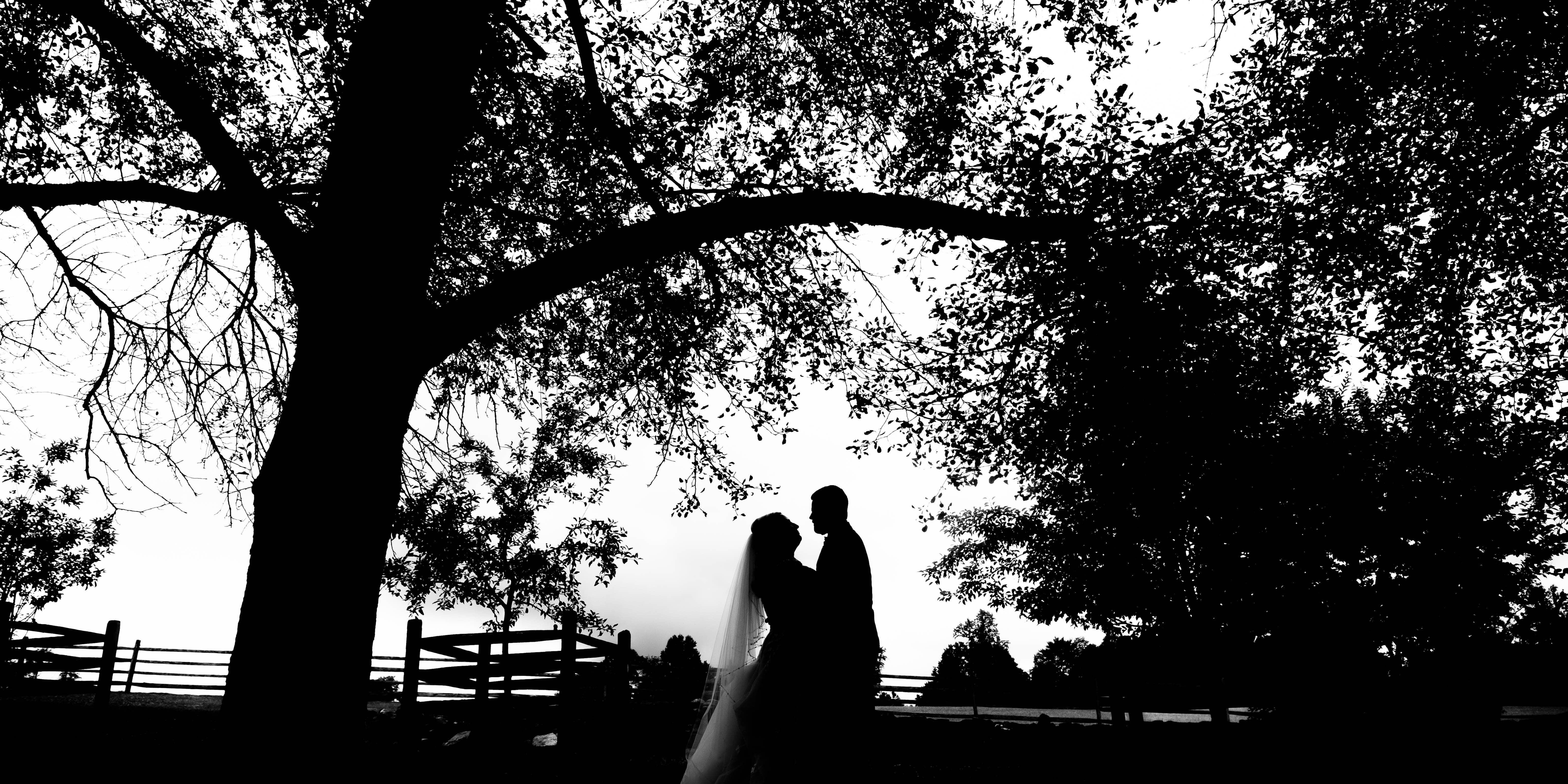 bride and groom silhouette