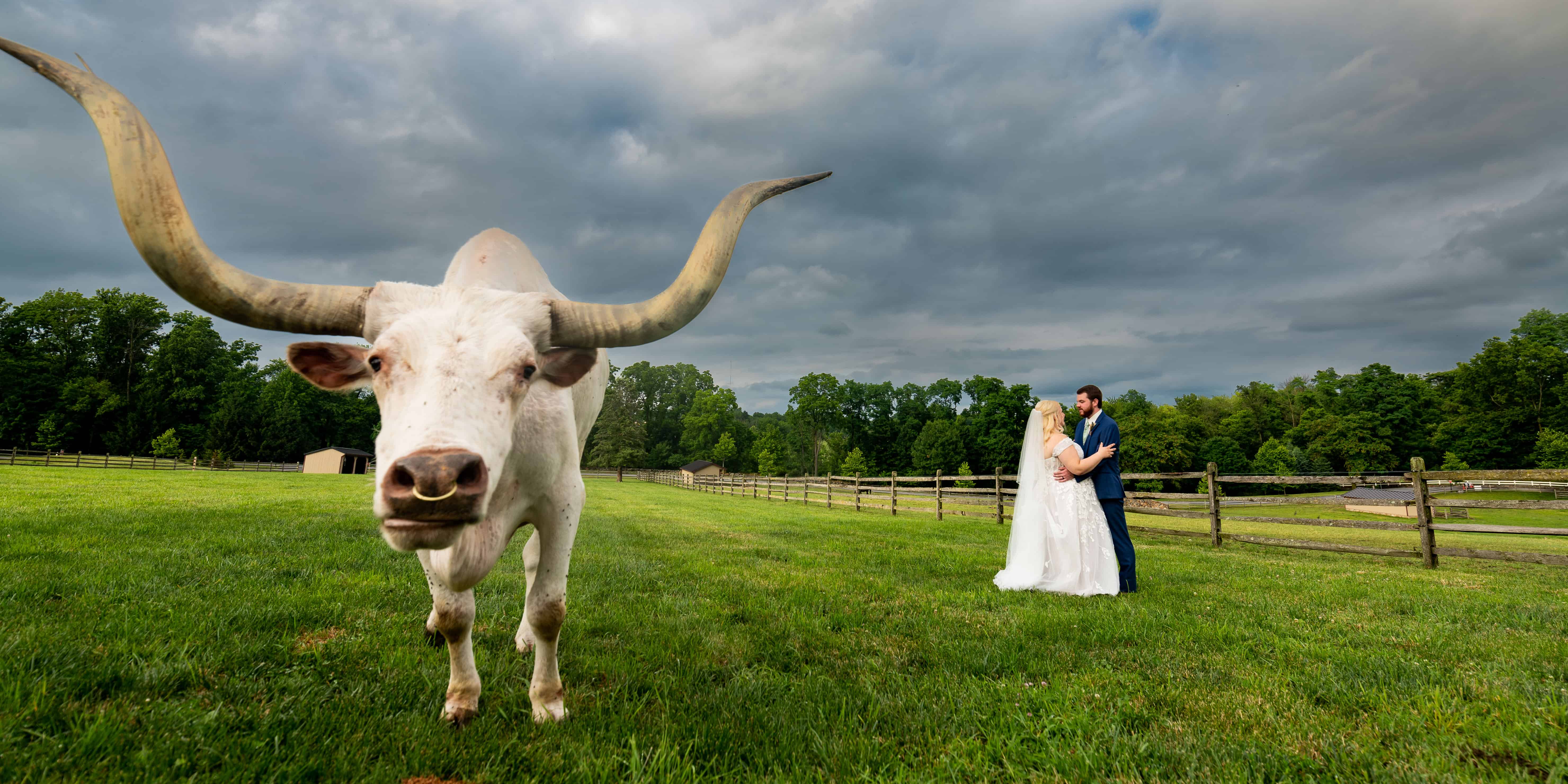 Ironstone Ranch at Stone Gables Estate