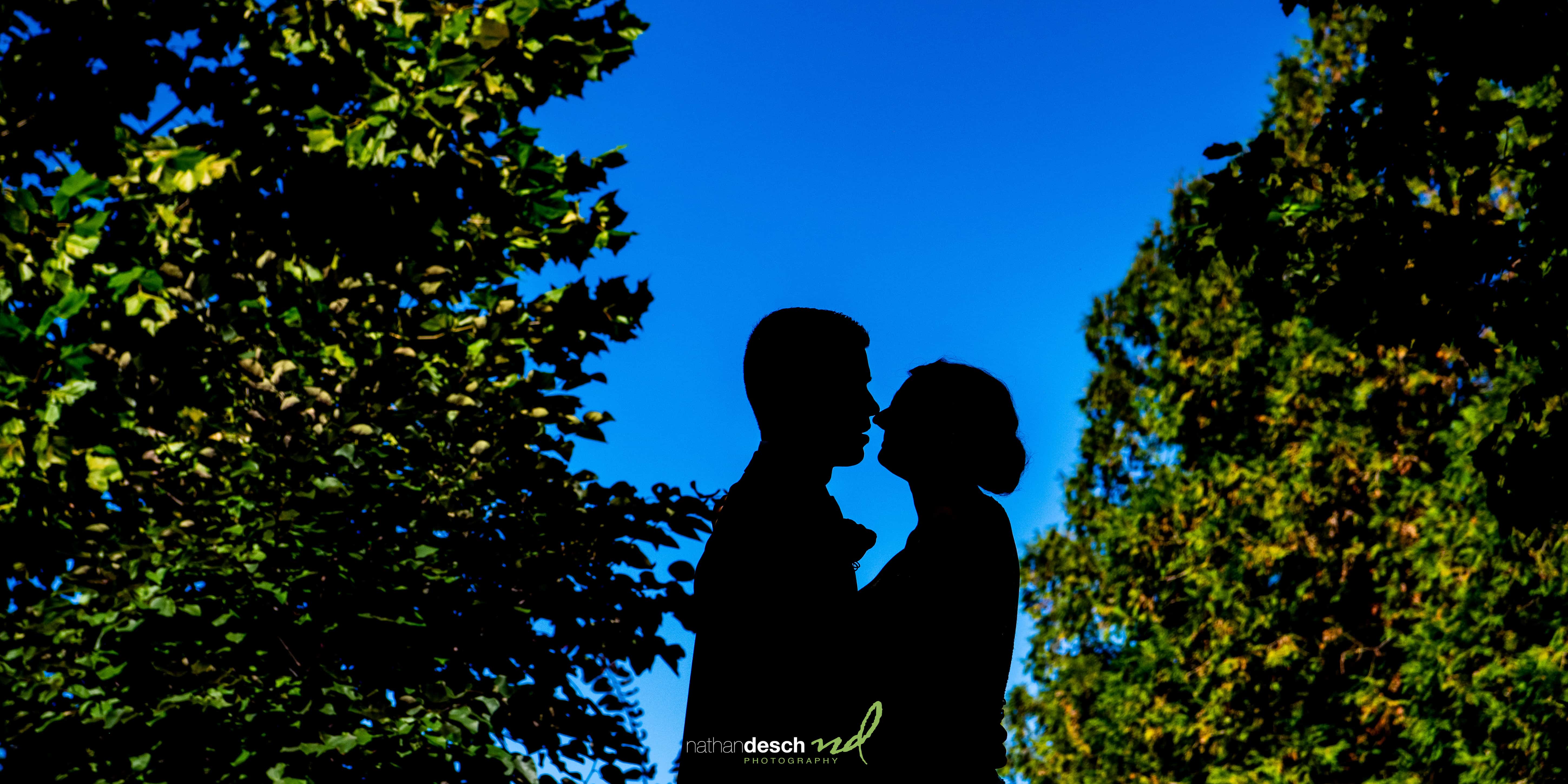 silhouette photo