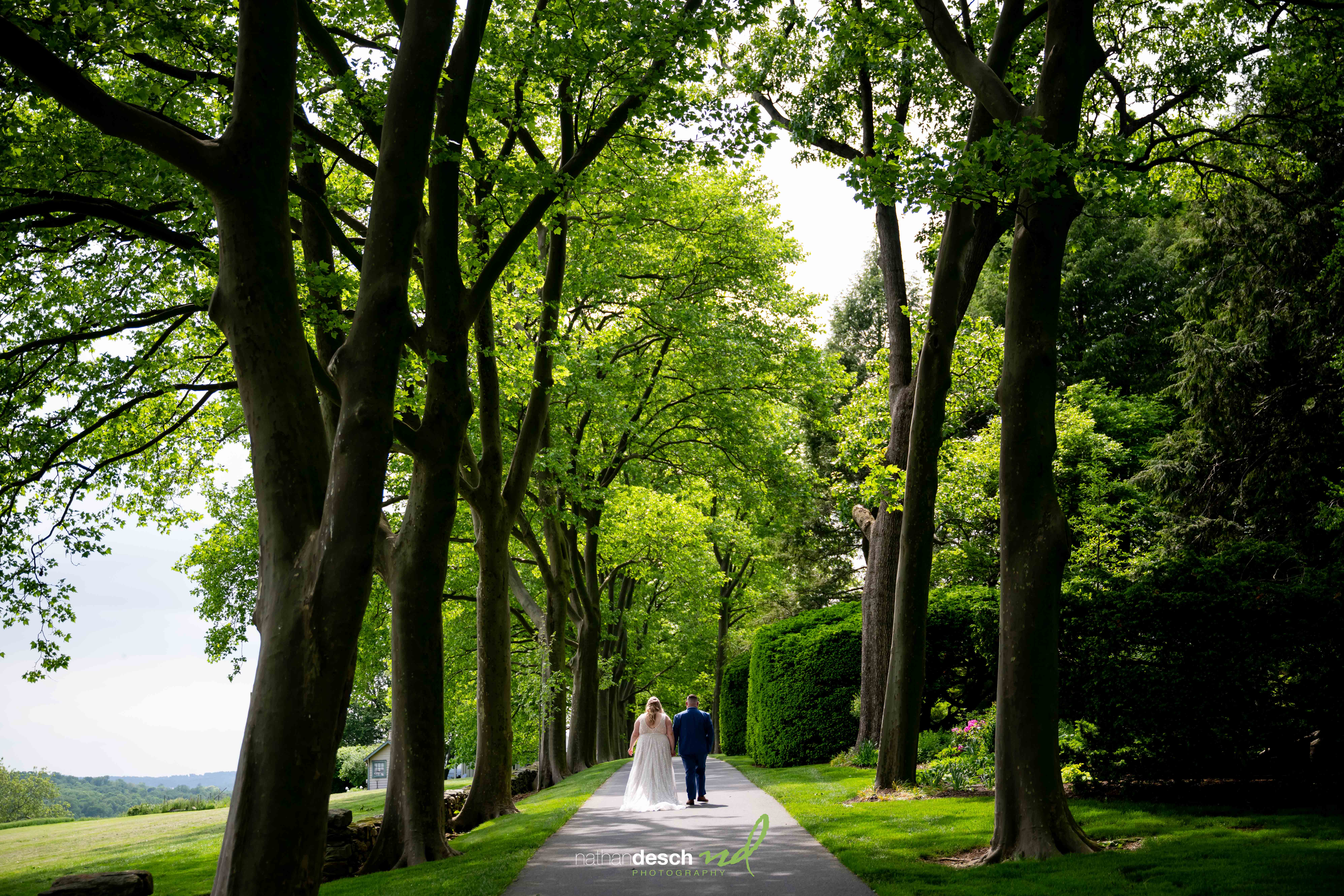 Bride and groom holding hands on a sunlit, tree-lined path at scenic Drumore Estate wedding venue.