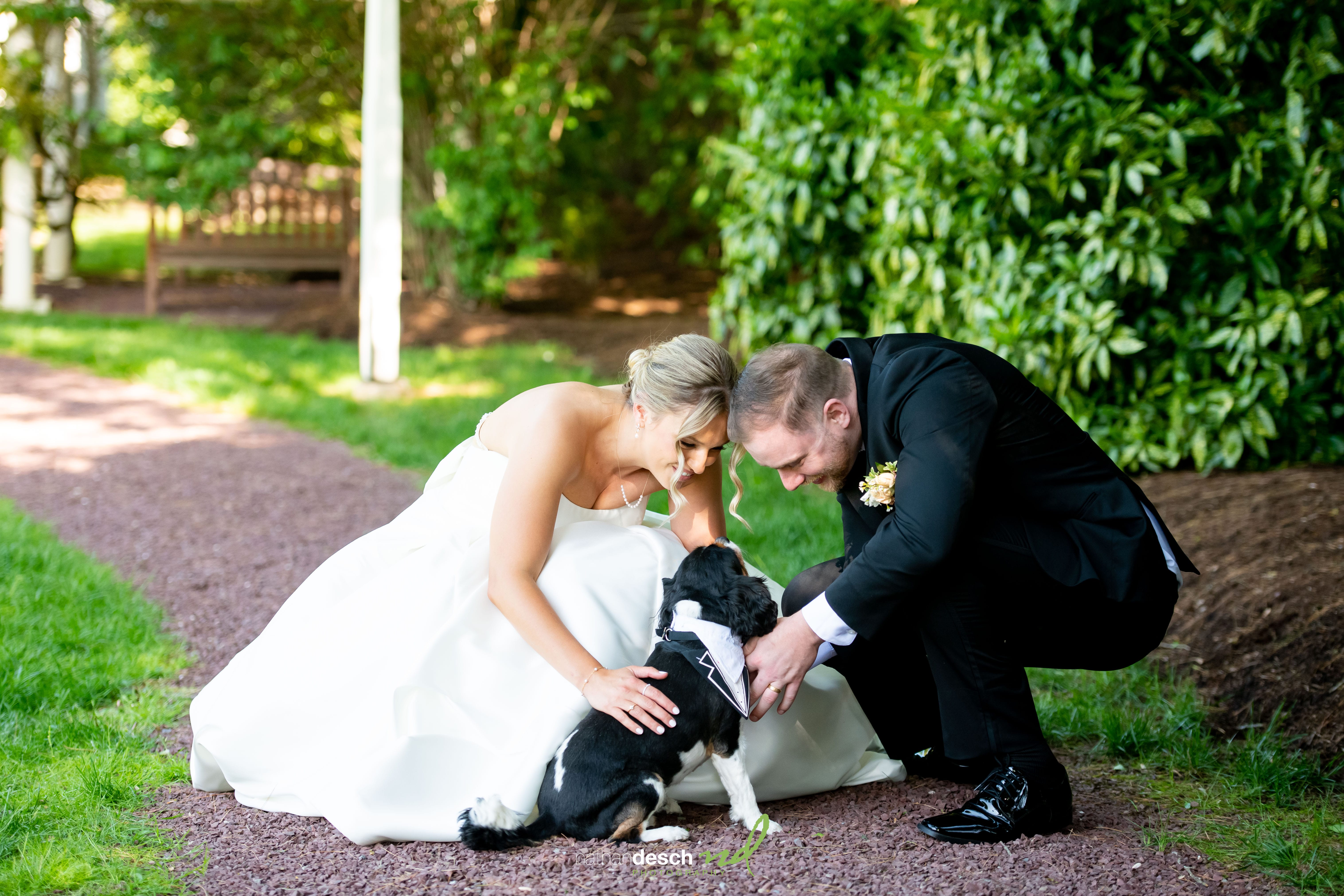 Bride and groom crouch outdoors, smiling and petting their dog in a tuxedo at the Inn at Leola Village wedding.