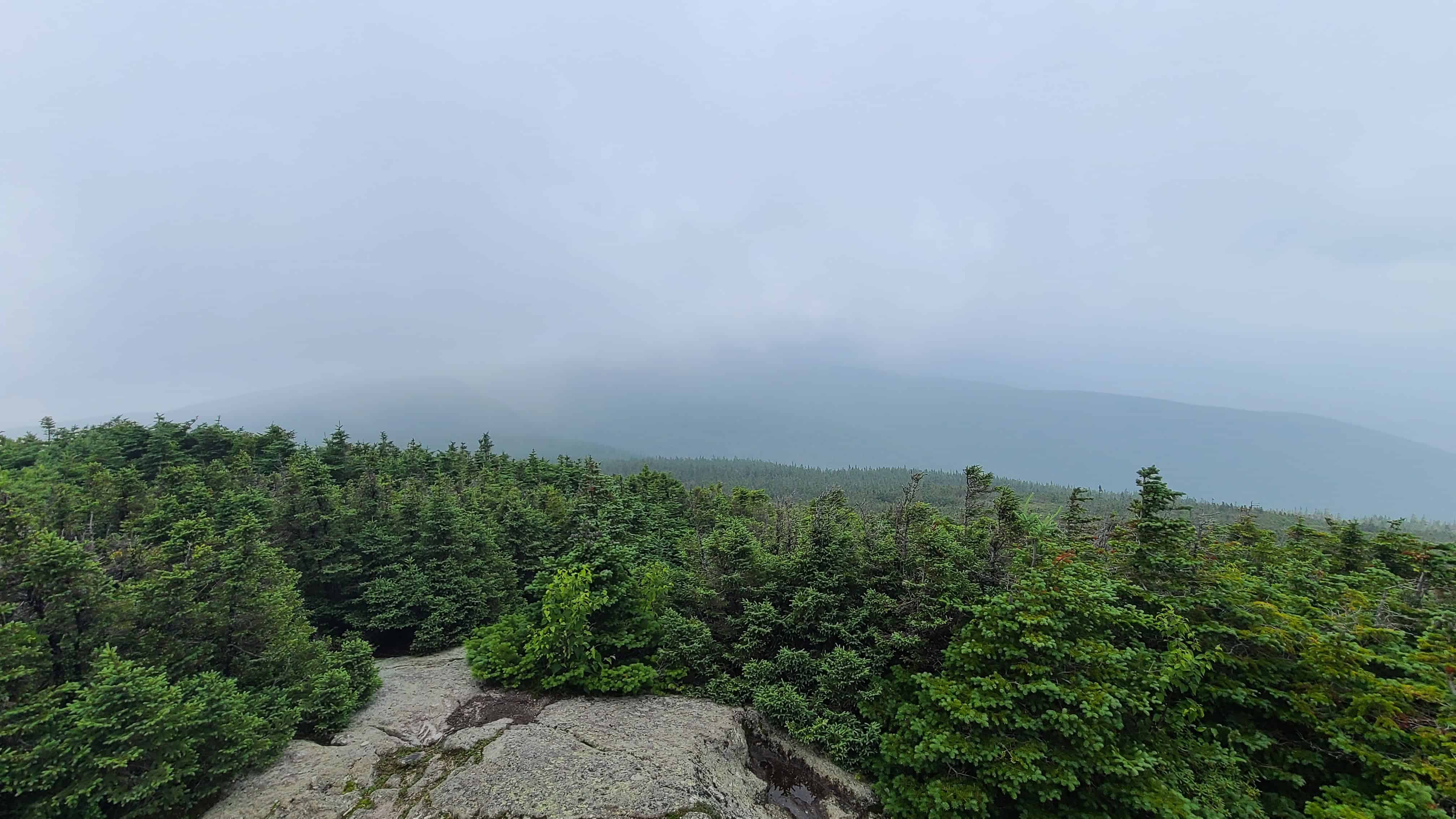 Mountain top view in the White Mountains with pines, rocky terrain, and misty peaks—ideal for adventurous elopement photos.